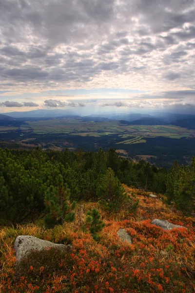 Панорама горы — стоковое фото