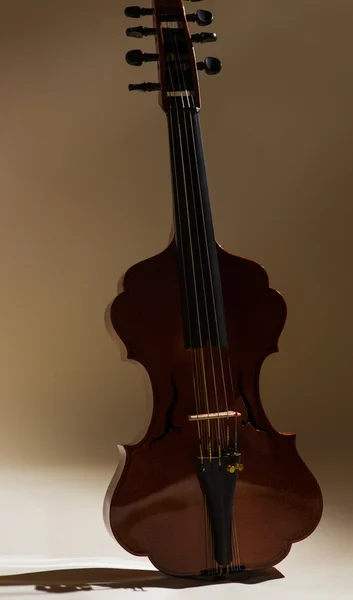 小提琴 — 图库照片