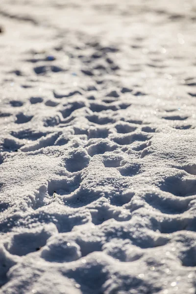 Empreintes humaines dans la neige profonde — Photo