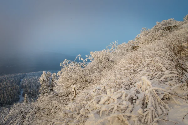 Jizerske berg — Stockfoto