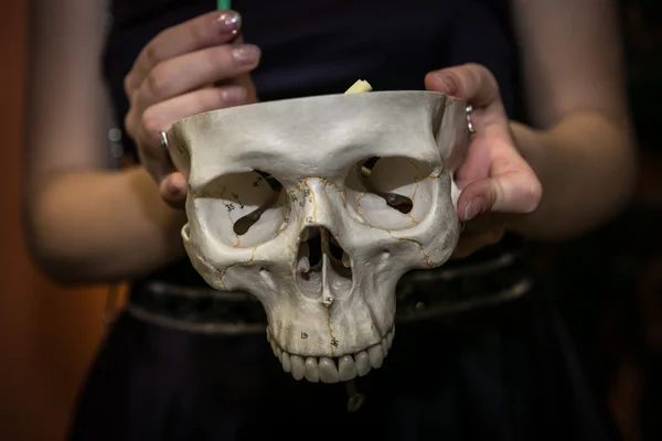 白で隔離される頭蓋骨を保持している女性 — ストック写真