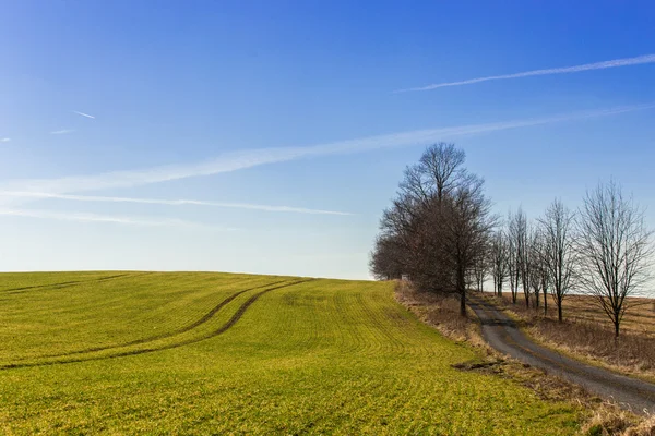 Lente weide — Stockfoto