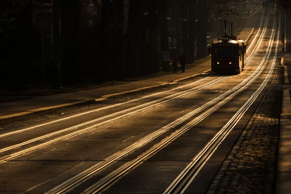 Трамвайные пути — стоковое фото