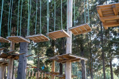 Ormanda macera izleri