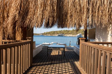 Kurumuş Palmiye Ağacı Deniz zemininde Yapraklar