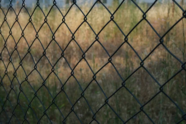 Wire Mesh Background Close — Stock Photo, Image
