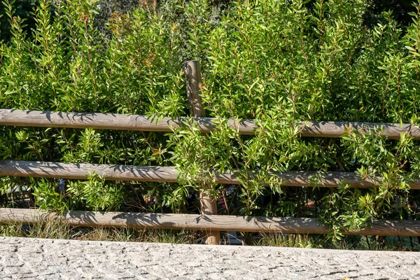 Elölnézet Útszéli Fából Készült Kerítés — Stock Fotó