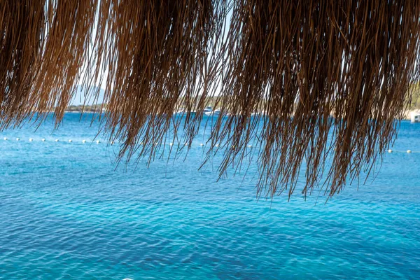 Getrocknete Palmenblätter Auf Meeresgrund — Stockfoto