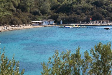 Ön manzara sahili ve deniz arka planı