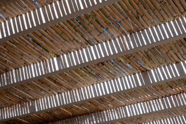 Bambu tavan arkaplanı, ön manzara