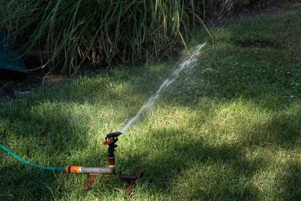 Lawn water sprinkler spraying water on garden lawn on hot summer day. Automatic watering lawns.