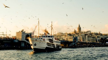 Yolcu feribotu ve uçan martılar