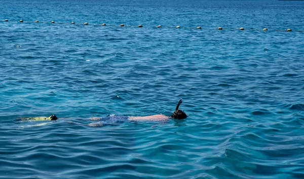 Man Swimming Sea Snorkel — Stock Photo, Image