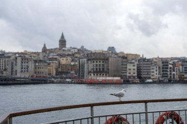 İstanbul Yolcu Feribot Gemisi