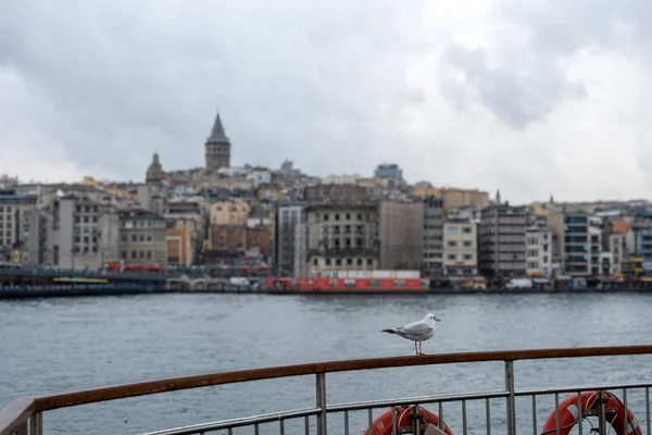 Паромное Судно Стамбула — стоковое фото