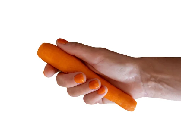 Mano Sosteniendo Zanahoria Sobre Fondo Blanco Aislado —  Fotos de Stock