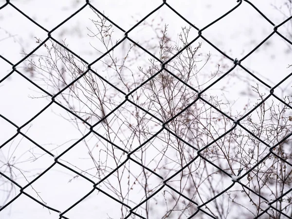 Snow Covered Wire Mesh Winter Background — Stock Photo, Image