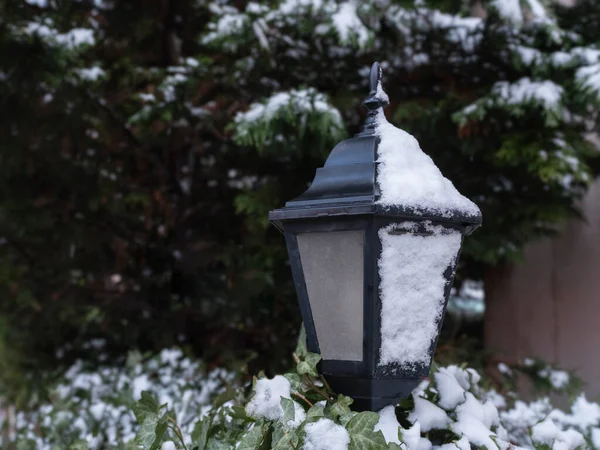 Snow Covered Garden Lamp Front View — Stock Photo, Image