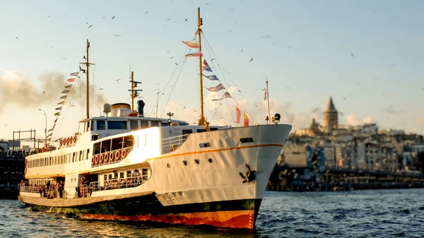 Passenger Ferry Flying Seagulls — Stock Photo, Image