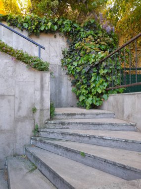 Bahçedeki taş merdiven altyapısı