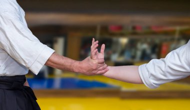 Aikidoka, aikido eğitimi sırasında rakibe ortak kilit tekniğini kullanır.