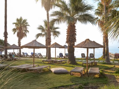 beach background at sunrise, front view