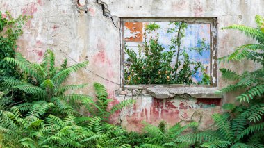 ruined house in the forest, front view