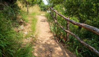 Walking path with wooden fence, tree along the way. close up