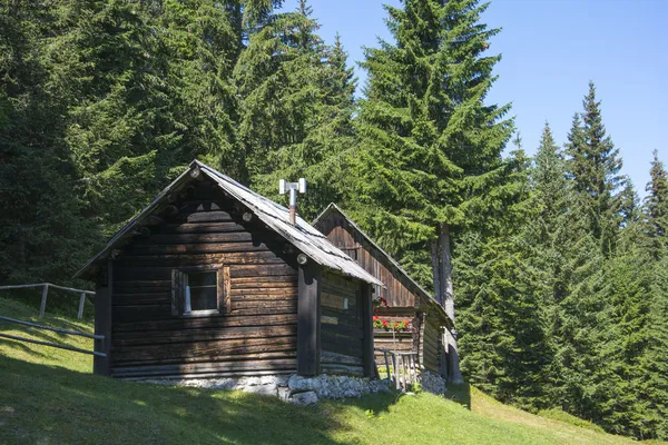 Holzhaus im grünen Wald — Stockfoto