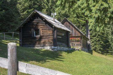 demiryolu ile yeşil orman içinde ahşap kulübe