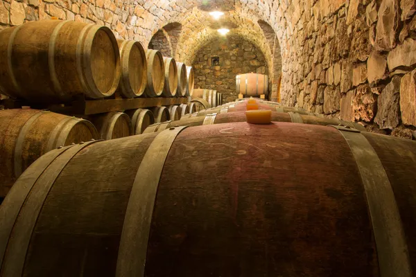 Barrels in a wine cellar — Stock Photo, Image