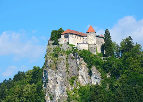 Bled zamek średniowieczny — Zdjęcie stockowe