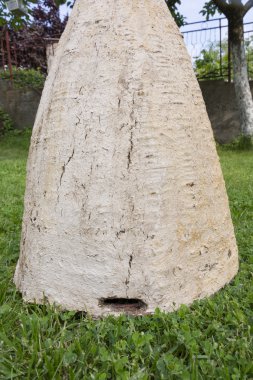Vintage arı kovanı