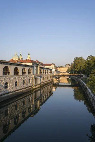 ljubljanica 강 및 시장 아케이드