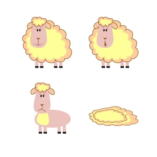 Conjunto de corderos, ilustración vectorial . — Vector de stock