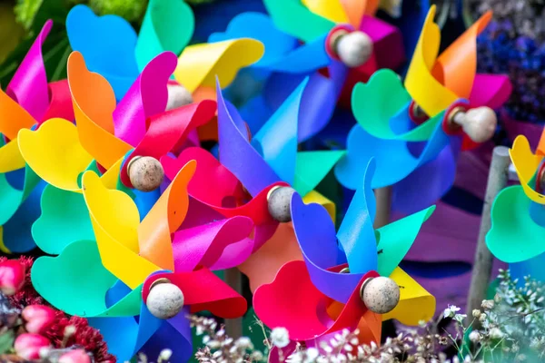 Conjunto Belos Pinwheels Coloridos — Fotografia de Stock