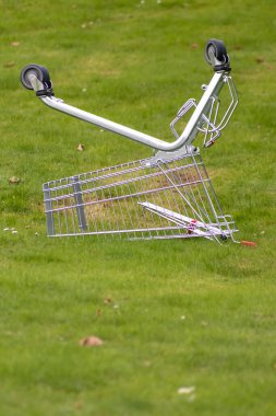 Parktaki çayır üzerine düşen alışveriş arabası