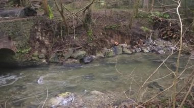Hasarlı köprü, sağanak yağış ve sel ile birlikte aşırı hava koşullarının ardından yıkılan köprüleri ve taşan caddeleri yıkıp iklim değişikliği sorunlarına yol açan felaketleri gösteriyor.