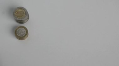 Avro banknotları ve avro paralarını sayan Avrupalı bir adam, 10, 20 ve 50 avroluk banknotlarla birlikte banknotları mali yatırım ve maaş yığını sermayesi olarak sayıyor.