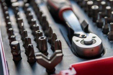 Torx bitleri, çapraz bit ve yerine konulabilir vida adaptörleri ile çeşitli vida düzenleyici olarak alet kutusu içinde tors bit profesyonel ekipman olarak ve tamirci mekanik