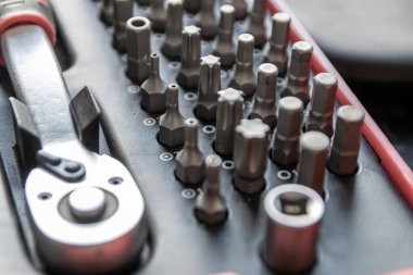 Torx bitleri, çapraz bit ve yerine konulabilir vida adaptörleri ile çeşitli vida düzenleyici olarak alet kutusu içinde tors bit profesyonel ekipman olarak ve tamirci mekanik