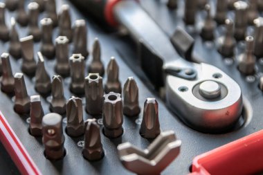 Torx bitleri, çapraz bit ve yerine konulabilir vida adaptörleri ile çeşitli vida düzenleyici olarak alet kutusu içinde tors bit profesyonel ekipman olarak ve tamirci mekanik