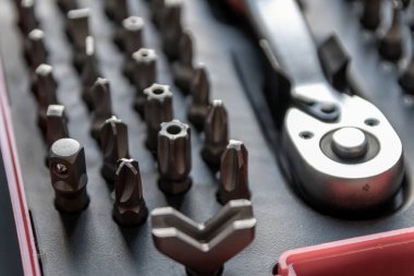 Torx bitleri, çapraz bit ve yerine konulabilir vida adaptörleri ile çeşitli vida düzenleyici olarak alet kutusu içinde tors bit profesyonel ekipman olarak ve tamirci mekanik