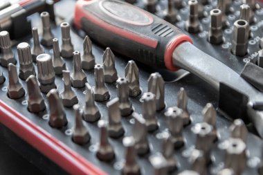 Torx bitleri, çapraz bit ve yerine konulabilir vida adaptörleri ile çeşitli vida düzenleyici olarak alet kutusu içinde tors bit profesyonel ekipman olarak ve tamirci mekanik