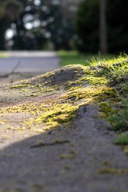 Güneşli bir günde yol kenarında toprak