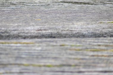 Gri ahşap arka plan, eski tahtalar ve eski tarz gri kereste ve grunge arka plan dekorasyonu veya doğal çerçeve tasarımı için kırsal kaba ve antika organik yüzey gibi görünür.