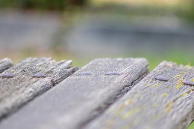 Gri ahşap arka plan, eski tahtalar ve eski tarz gri kereste ve grunge arka plan dekorasyonu veya doğal çerçeve tasarımı için kırsal kaba ve antika organik yüzey gibi görünür.