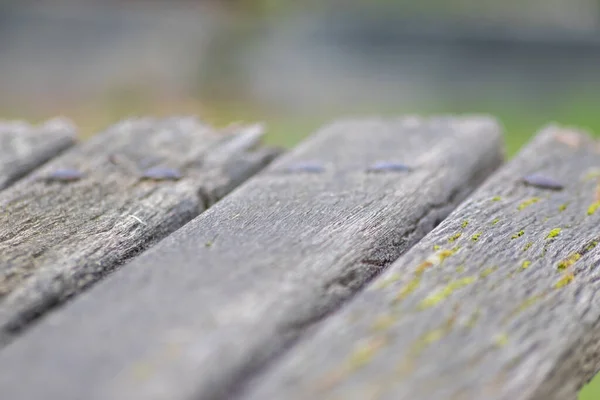 Gray Wooden Background Close Old Planks Grey Timber Vintage Style — Stock Photo, Image