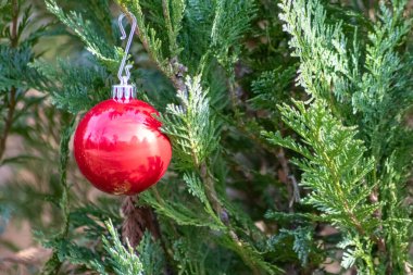 Süsleme için balosu olan Noel ağacı