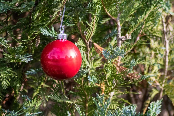 Χριστουγεννιάτικο Δέντρο Μπάλα Για Διακόσμηση — Φωτογραφία Αρχείου